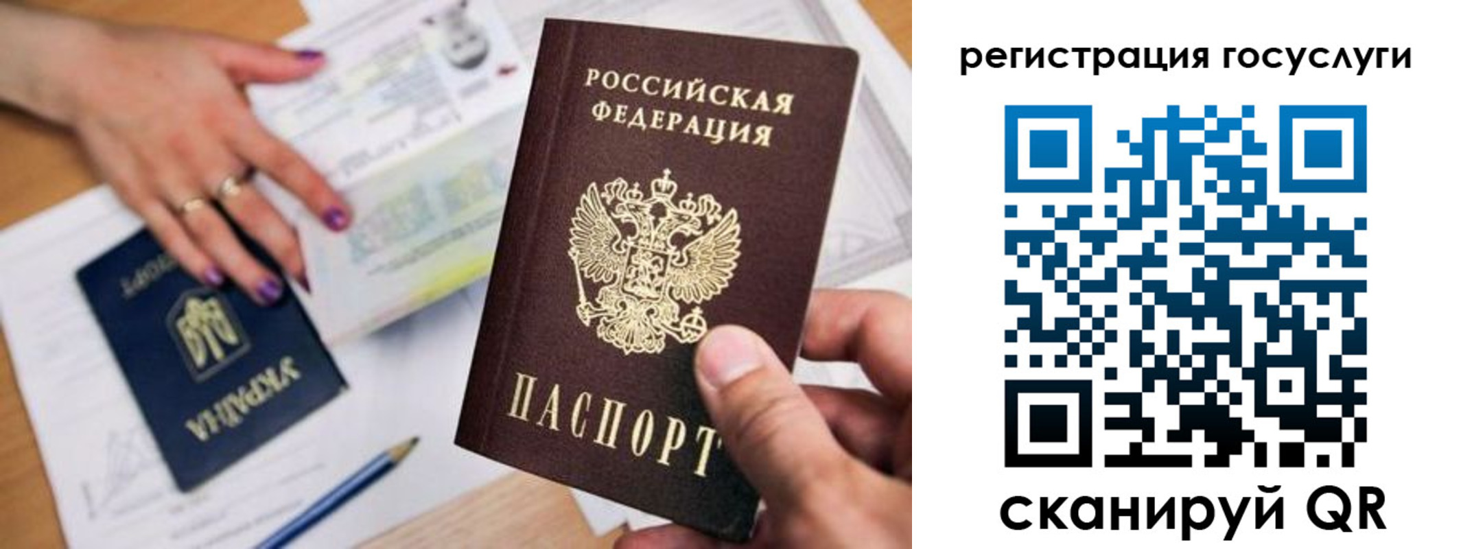 прописка иностранных граждан в Светлом